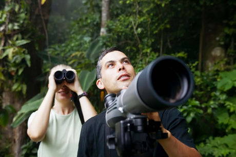 Do What You Love: How to Start a Birdwatching Club - JCS Wildlife