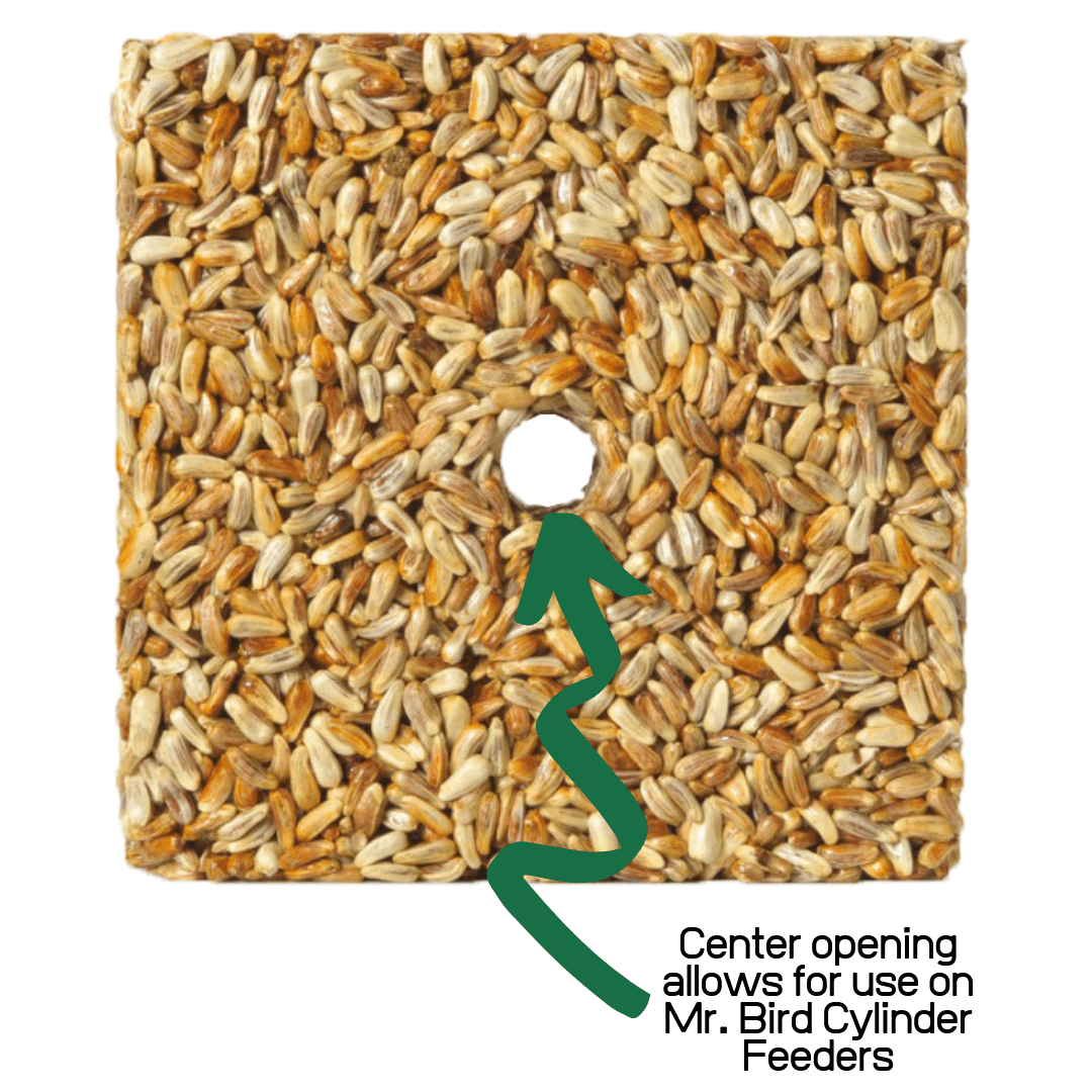 Product shot of a square birdseed cake featuring tightly packed seeds a central hole and variations in seed color and tone for Mr Bird Cylinder Feeders