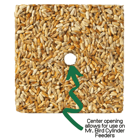 Product shot of a square birdseed cake featuring tightly packed seeds a central hole and variations in seed color and tone for Mr Bird Cylinder Feeders