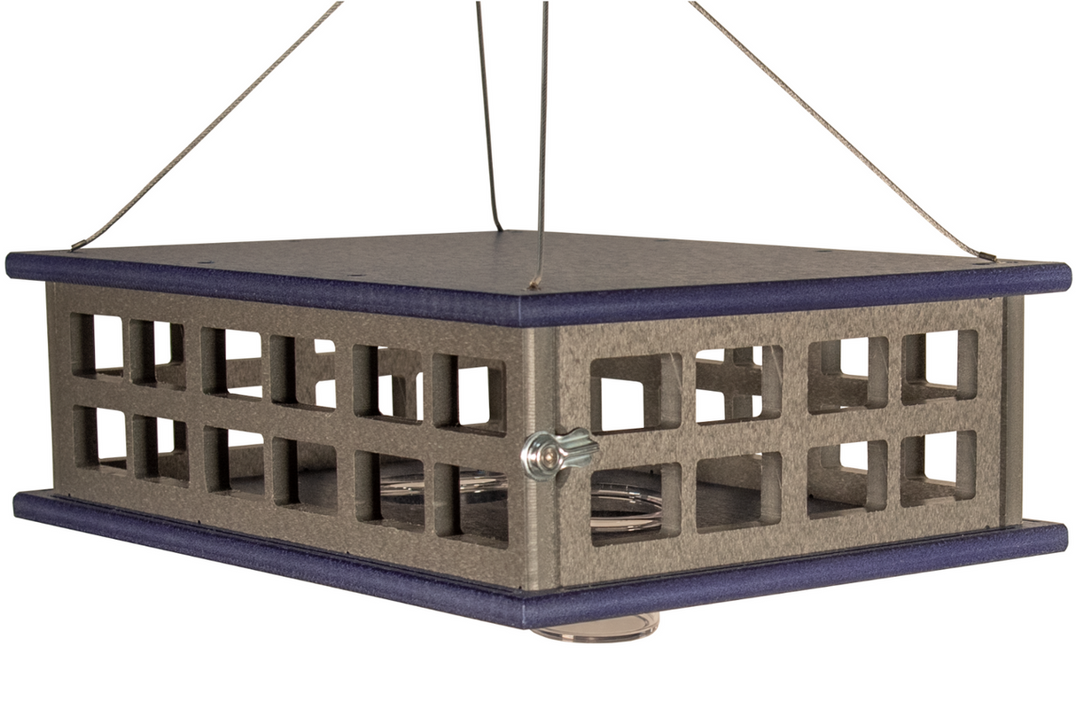 JCS Wildlife Recycled Poly Lumber Deluxe Caged Platform Bluebird Feeder with two feeding cups and a protective design.