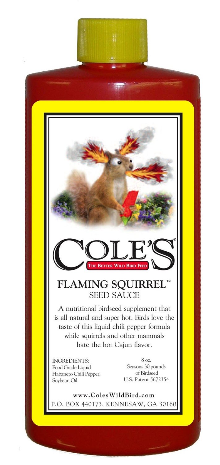 Cole's Flaming Squirrel Seed Sauce 8 oz liquid squirrel deterrent bottle with spicy Cajun flavor for birdseed enhancement.