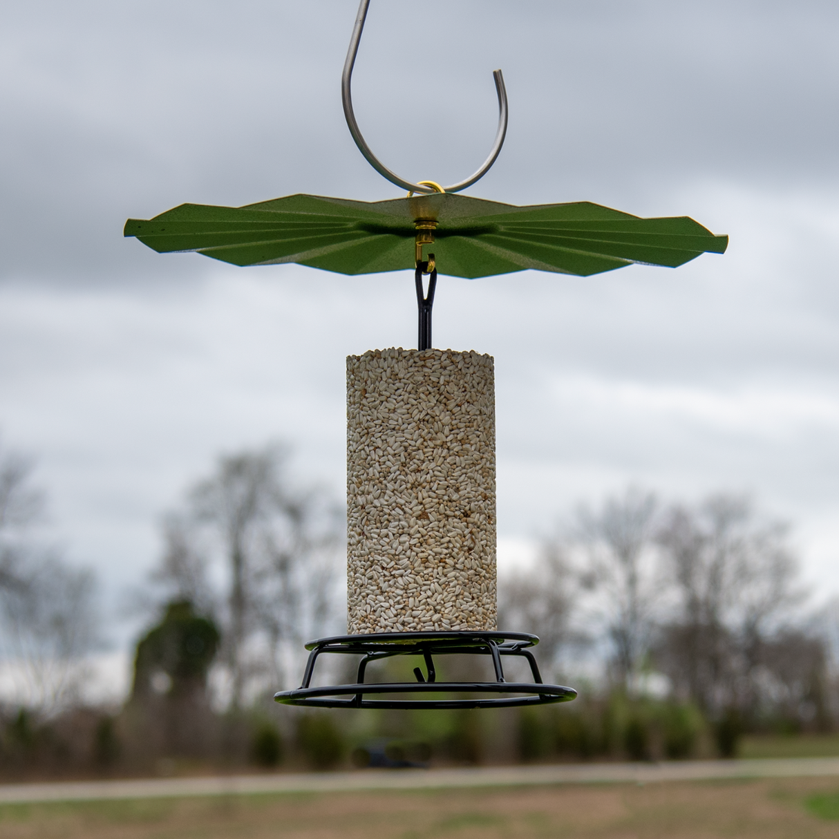JCS Wildlife 16" Metal Rain Guard and Bird Seed Cylinder Feeder Kit with seed block hanging securely.