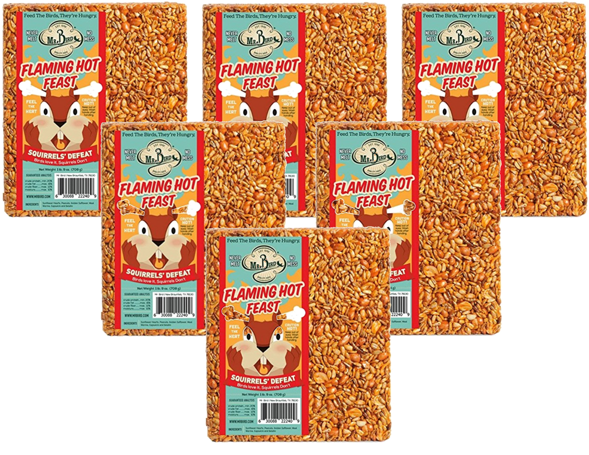 Mr. Bird's Flaming Hot Feast large wild bird seed block pack, designed to keep squirrels away, featuring bright packaging.
