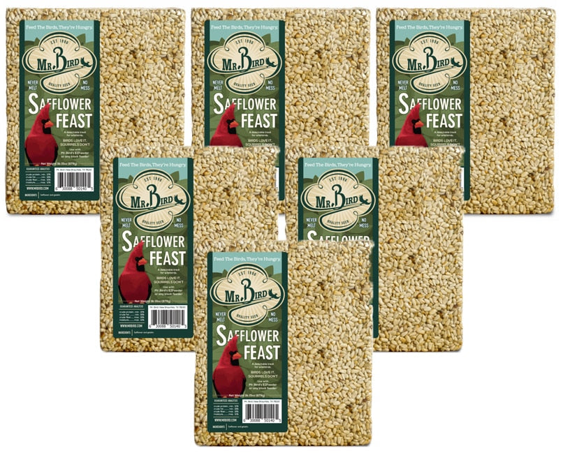 Mr. Bird Safflower Feast Large Wild Bird Seed Cake, 1 lb. 15 oz., perfect for attracting cardinals.