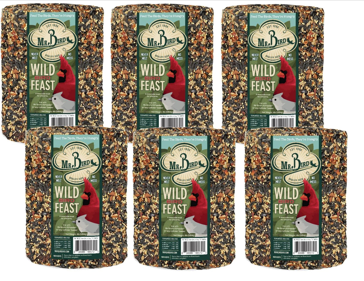 Mr. Bird Wild Bird Feast Large Wild Bird Seed Cylinder 4 lbs, perfect for wild bird feeding in packs of 1, 2, 4, and 6.