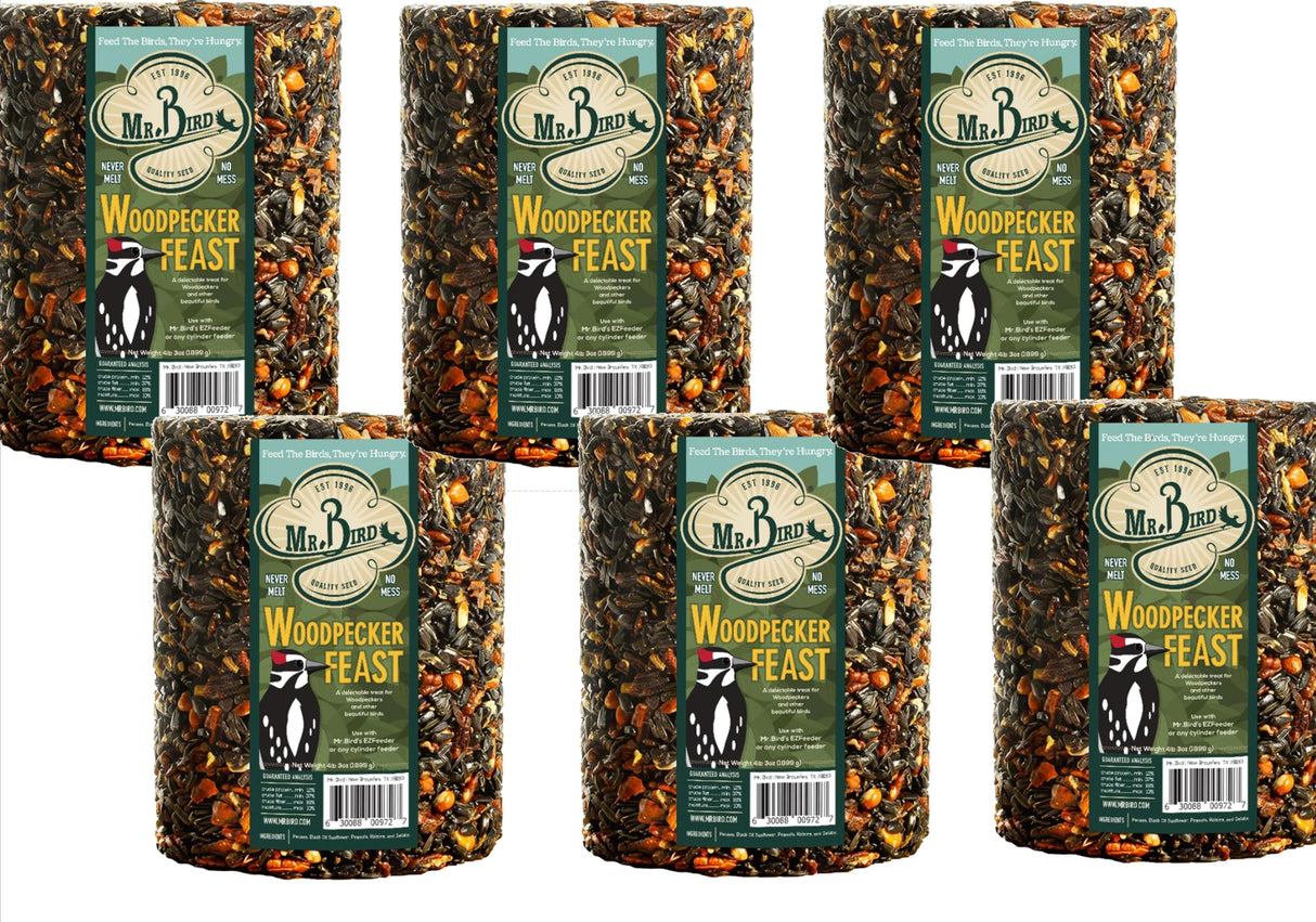 Mr. Bird Woodpecker Feast Large Wild Bird Seed Cylinders, nutritious snack for woodpeckers and backyard birds.
