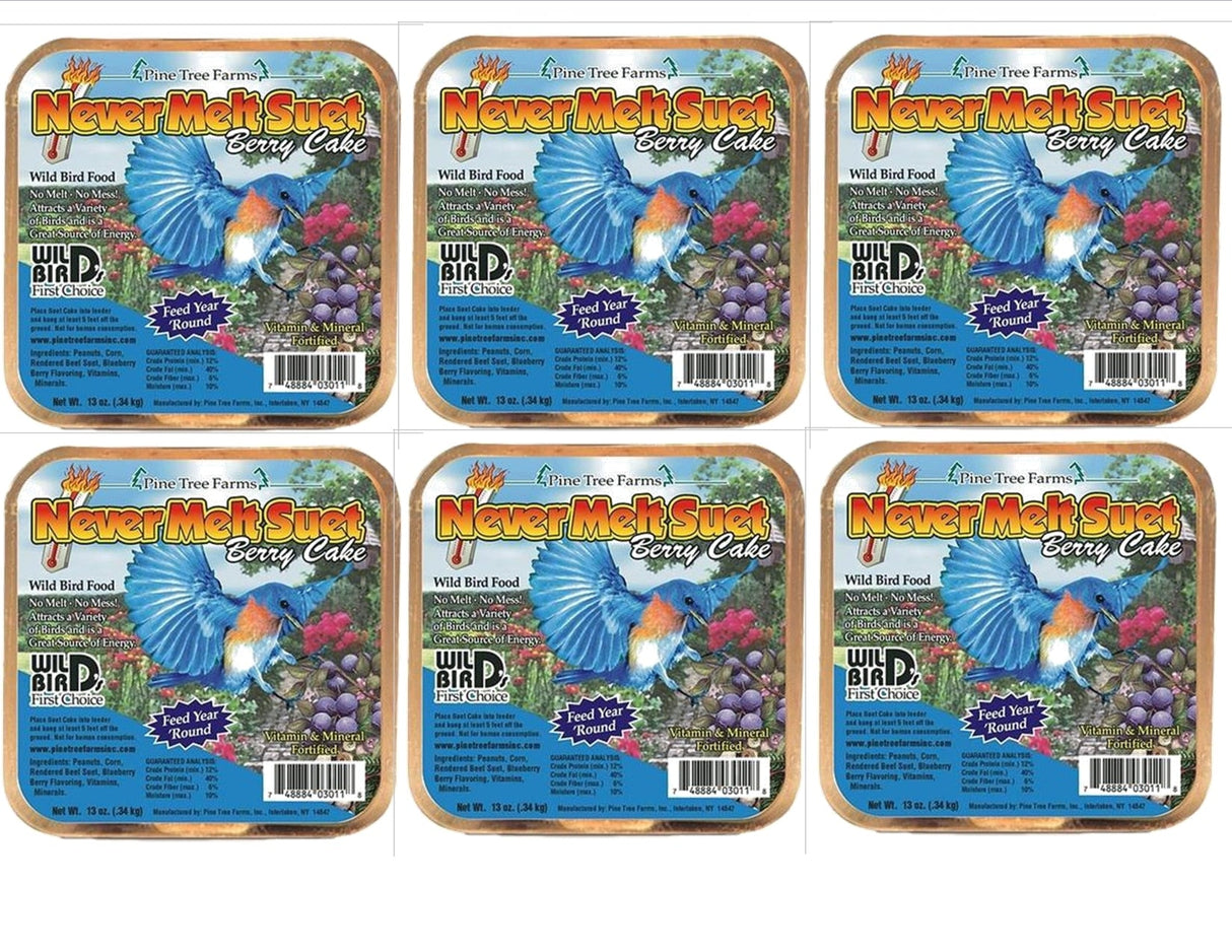 Pine Tree Farm's Never Melt Suet Berry Cake 12 oz., 6 packs of high-quality bird food, ideal for outdoor bird feeding.