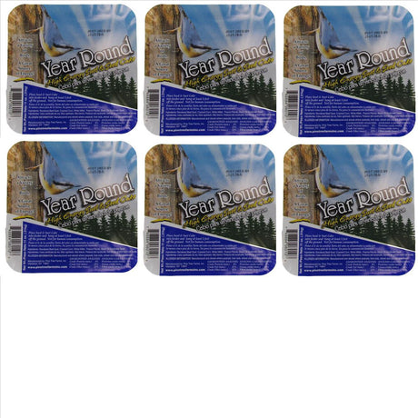 Pine Tree Farms Year Round High Energy Suet 11 oz. displayed in 6-pack for bird feeding.