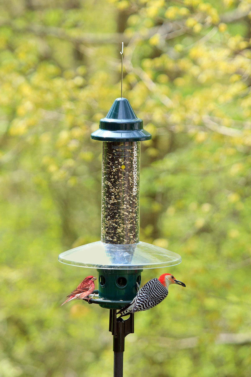 Brome Squirrel Buster Plus Bird Feeder w/ Cardinal Perch Ring 1024