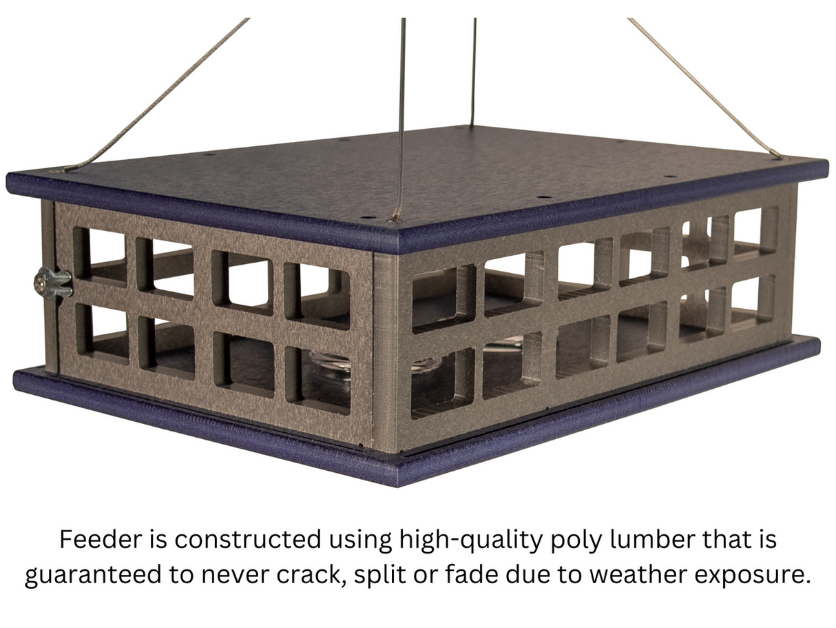 JCS Wildlife Recycled Poly Lumber Deluxe Caged Platform Bluebird Feeder with two feeding cups and weather-resistant design.