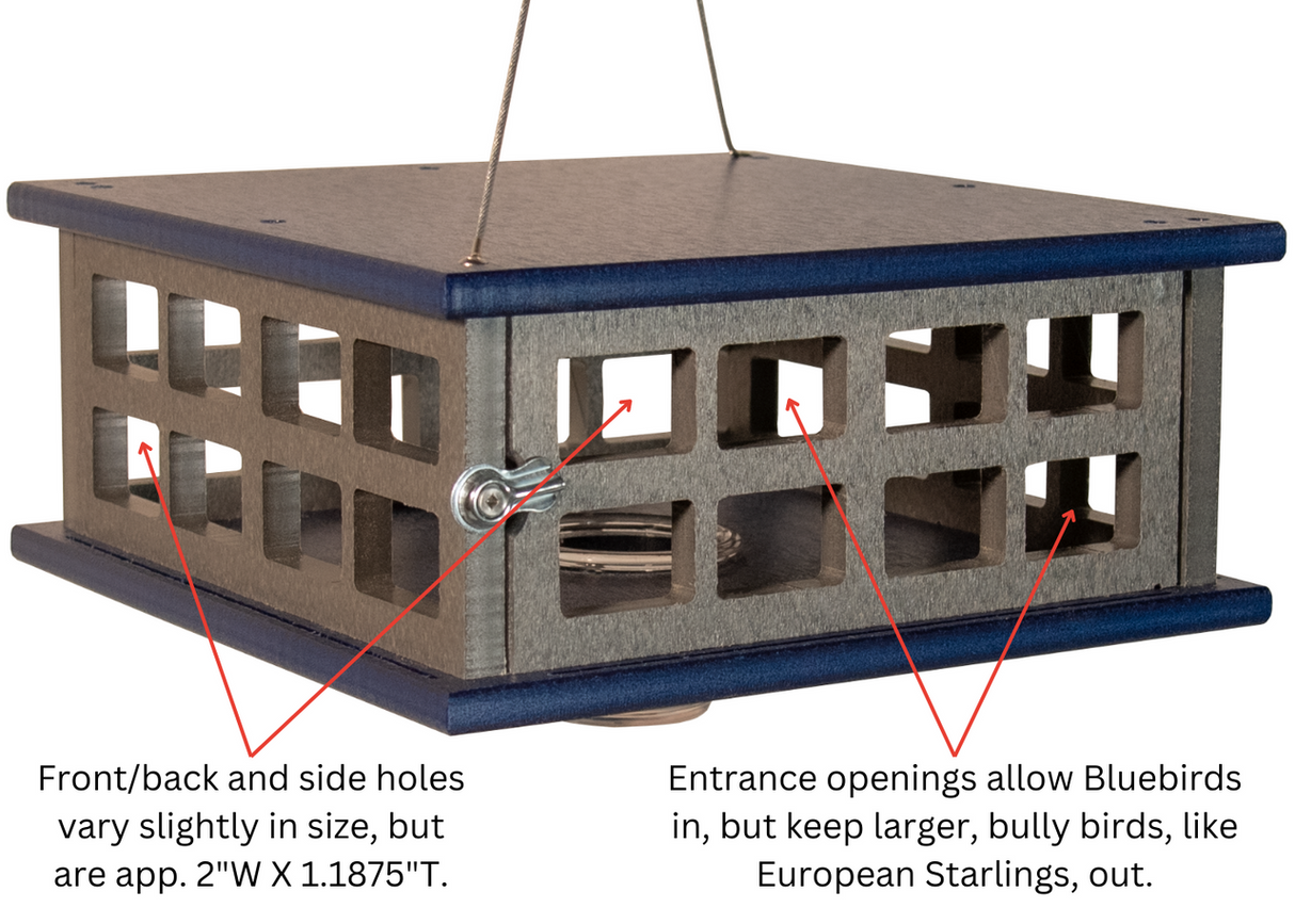 JCS Wildlife Recycled Poly Lumber Caged Platform Bluebird Feeder showing entrance openings to attract bluebirds while deterring larger birds.