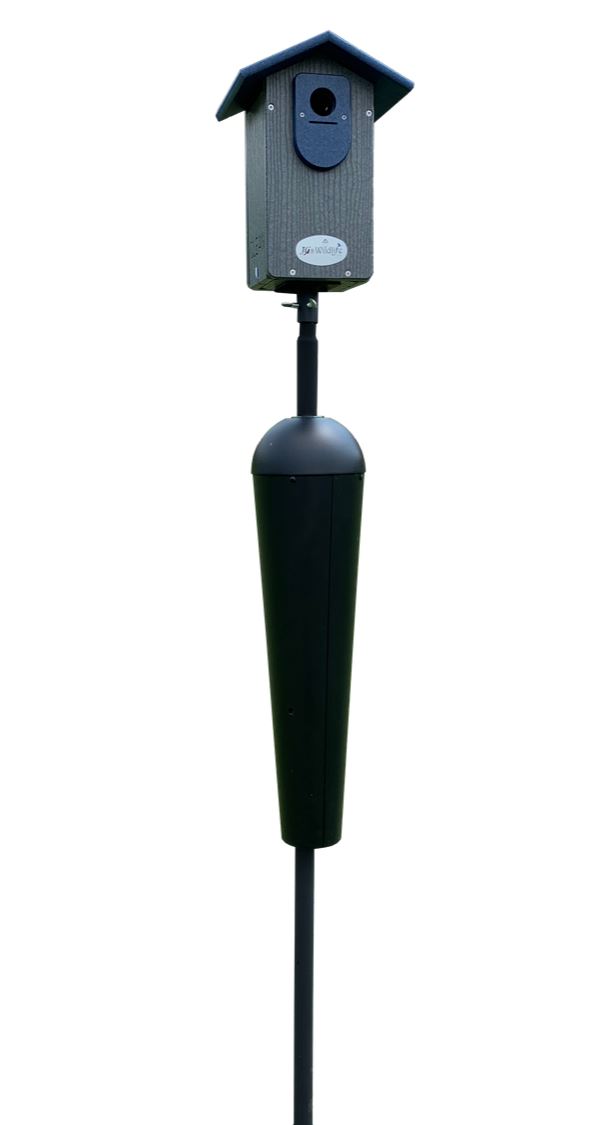 A Backyard Birds gray and blue birdhouse with a black predator guard mounted on a tall pole against a white background showcasing its unique design and small entrance hole
