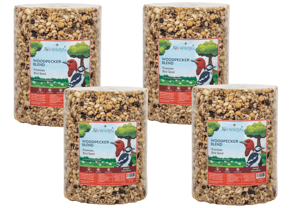 JCS Wildlife Woodpecker Blend Bird Seed Large Cylinder, 5 lb - Premium bird seed blend for attracting woodpeckers.