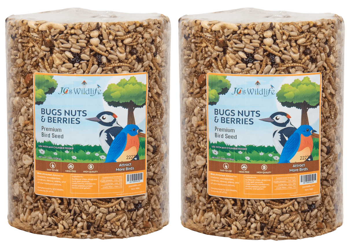 JCS Wildlife Bugs Nuts and Berries Premium Bird Seed Large Cylinder, 3.8 lb, ideal for attracting various bird species.