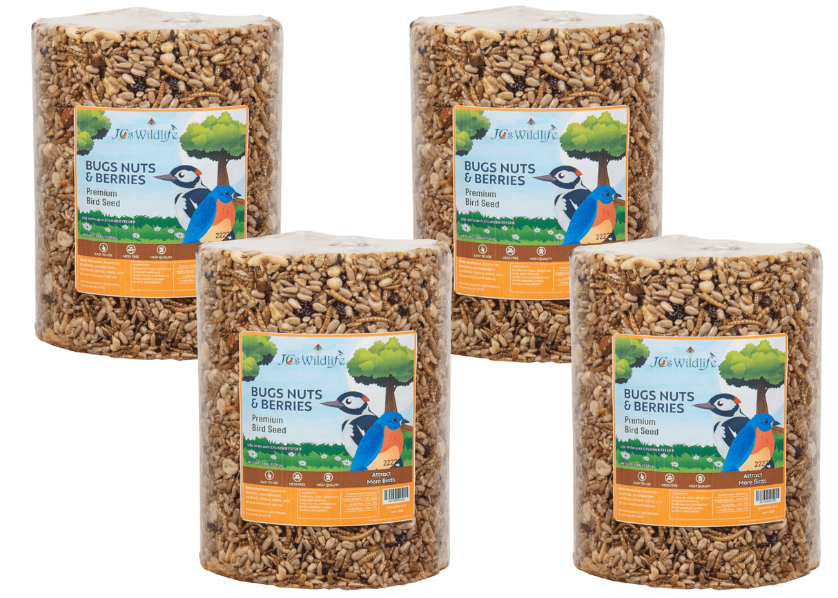 JCS Wildlife Bugs Nuts and Berries Premium Bird Seed Large Cylinder, 3.8 lb, perfect for attracting birds without mess.