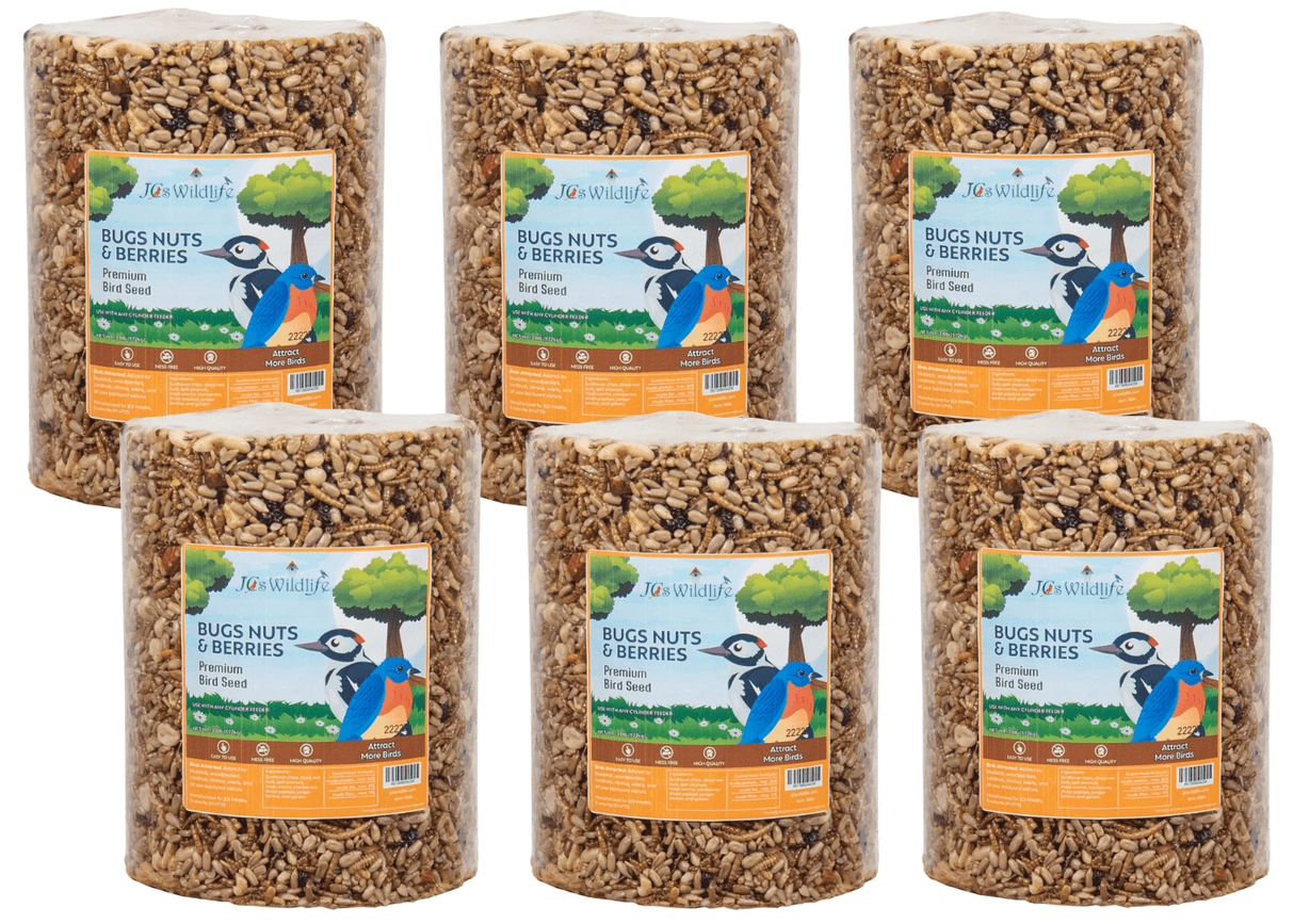 JCS Wildlife Bugs Nuts and Berries Premium Bird Seed Large Cylinder, 3.8 lb, six-pack display with vibrant packaging.