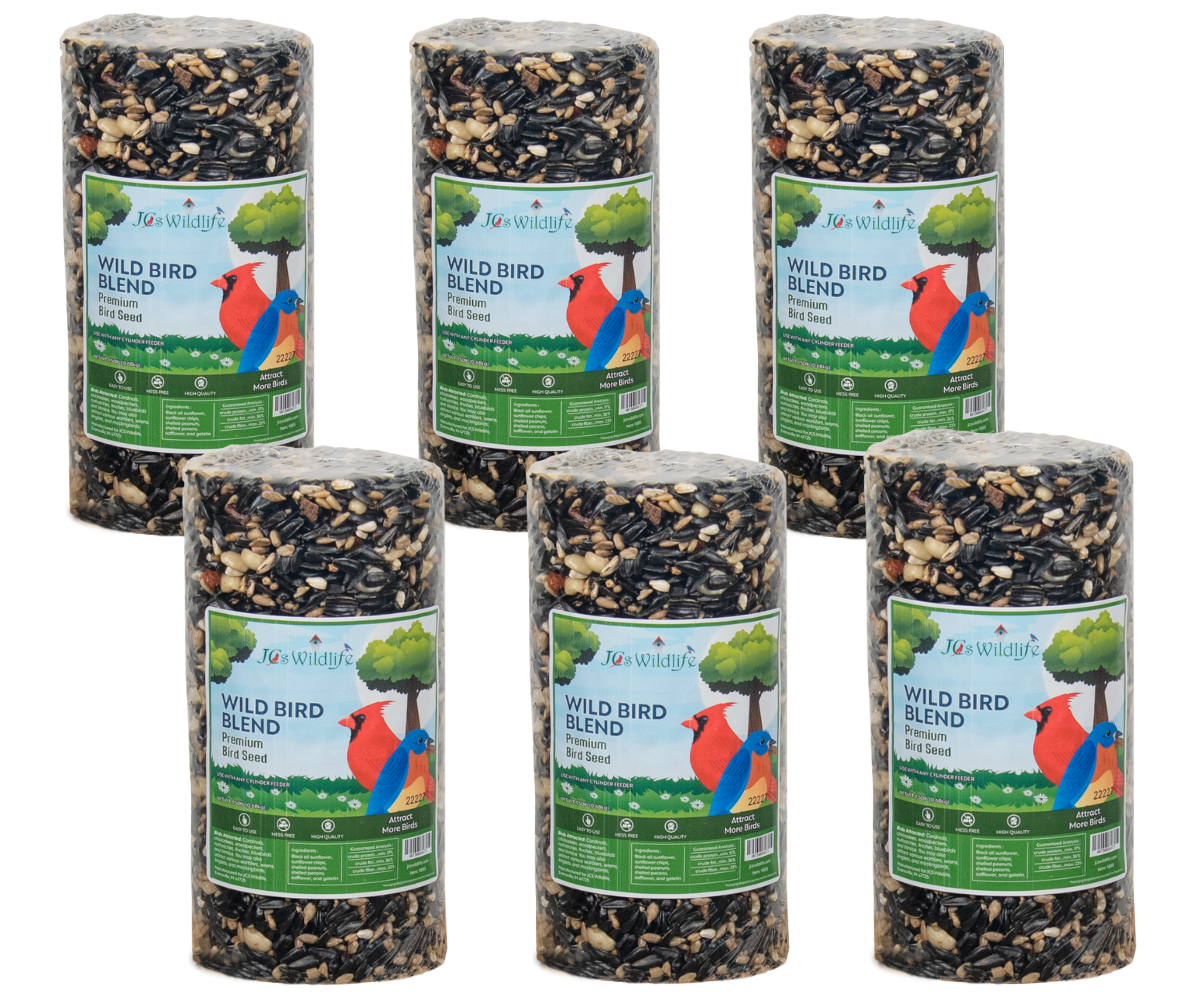 Product Photography: six cylindrical packages of JQs Wildlife Wild Bird Blend premium bird seed featuring a red cardinal and bluebird against a green background with black oil sunflower seeds, peanuts, and cracked corn visible