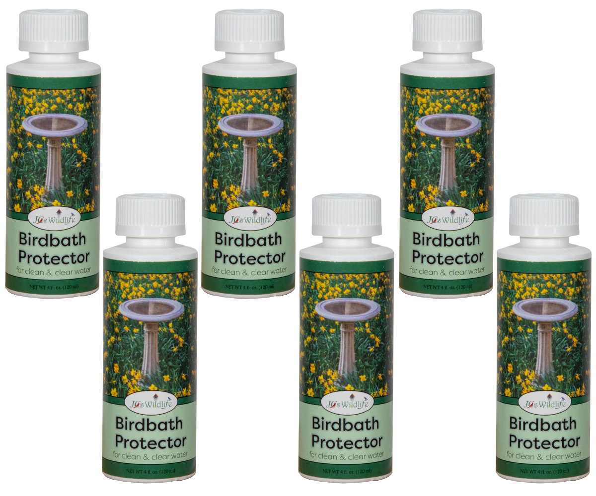 Product shot of six J&Js Wildlife Birdbath Protector bottles showing a stone birdbath amongst yellow daffodils and green foliage