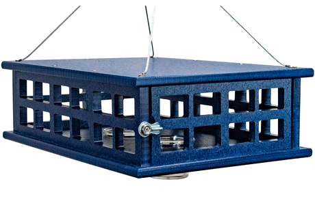 JCS Wildlife Recycled Poly Lumber Deluxe Caged Platform Bluebird Feeder with feeding cups and squirrel protection.