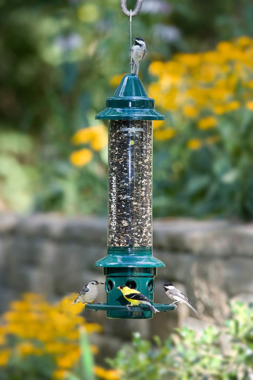 Brome Squirrel Buster Plus Bird Feeder w/ Cardinal Perch Ring 1024