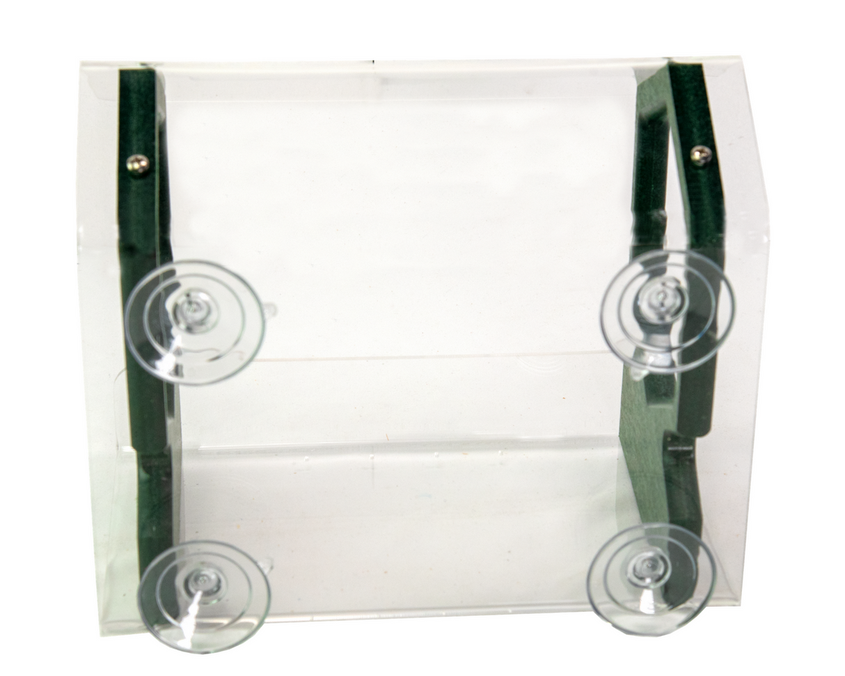 Clear acrylic bird feeder with dark green accents and four suction cups for window mounting showing a simple design
