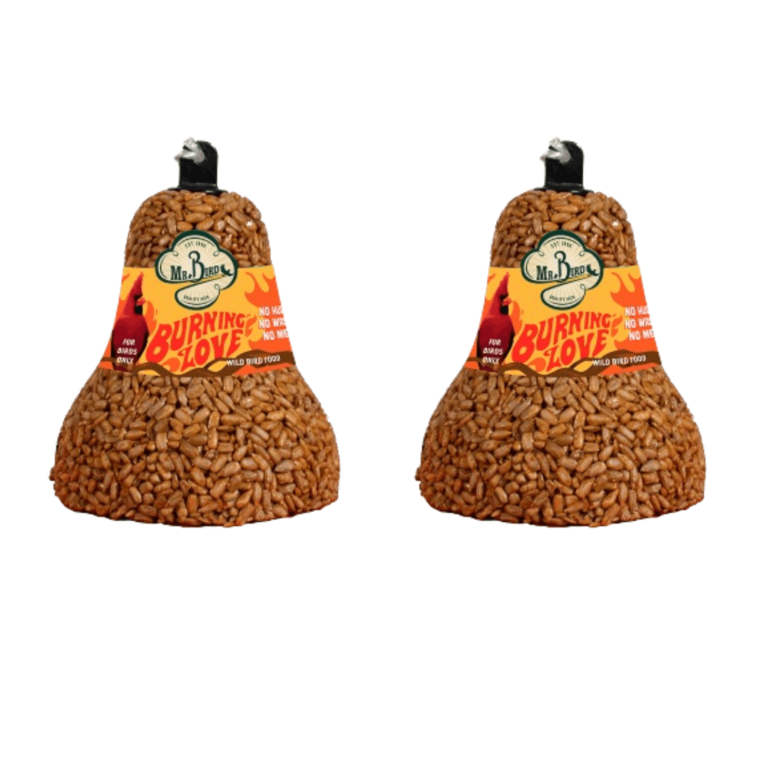 Mr. Bird Burning Love Seed Bell, spicy bird snack, prevents squirrels, perfect for year-round feeding, 5-inch diameter.