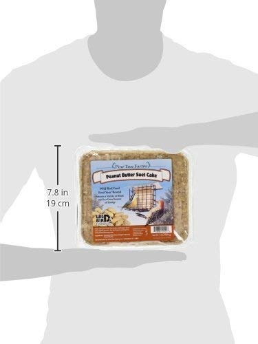 Pine Tree Farms peanut butter suet cake product shot showing a person holding a package featuring a bird feeder and peanuts against a snowy background with red and blue accents