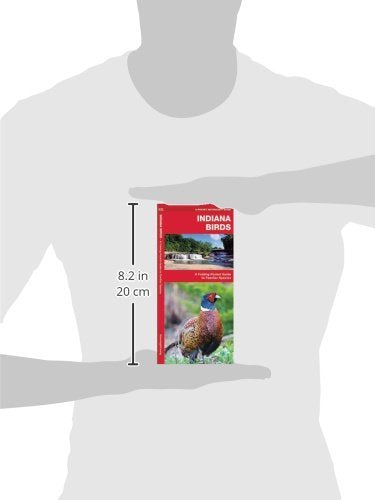 Indiana Birds A Folding Pocket Guide to Familiar Species featuring a vibrant ring-necked pheasant a lush Indiana landscape and a red cover showcasing a waterfall and river