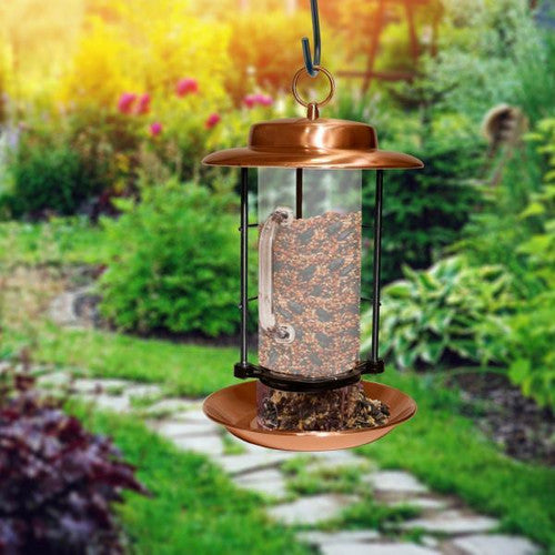Woodlink Metal Combination Hopper + Seed Scoop Feeder in copper, perfect for garden bird feeding, featuring clear seed visibility.