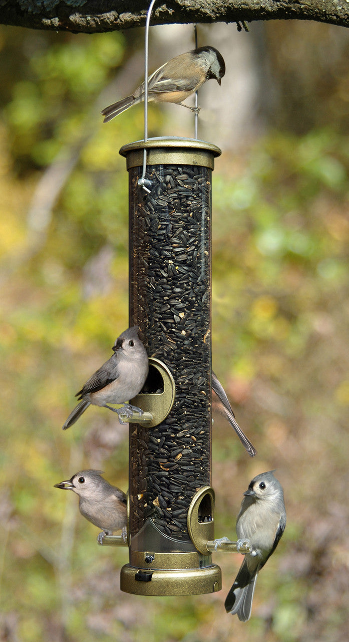 Aspects 395 Quick-Clean Seed Tube Feeder in Antique Brass with birds feeding from it outdoors.