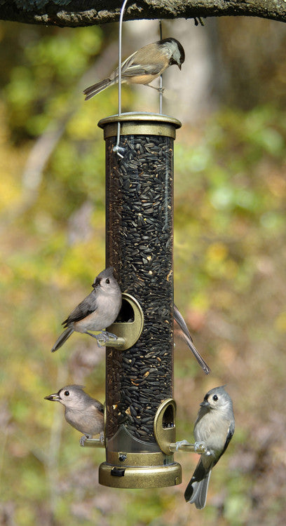 Aspects 395 Quick-Clean Seed Tube Feeder in antique brass with birds feeding.