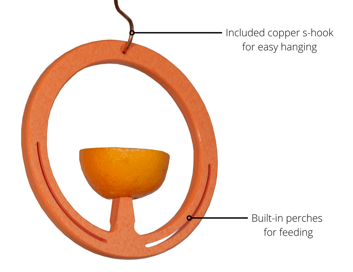 JCS Wildlife Spike Oriole Orange Fruit Feeder features built-in perches and an easy-hanging copper s-hook.