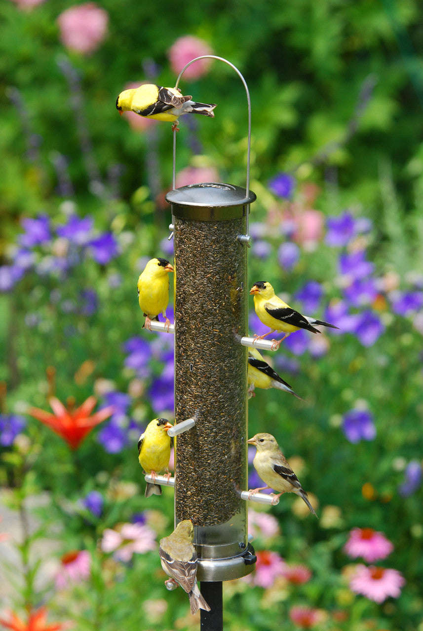 Aspects 400 Quick-Clean Thistle Tube Feeder in brushed nickel, with yellow finches feeding in a vibrant garden.