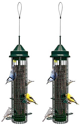 Squirrel Buster Classic bird feeder with multiple feeding ports attracting various birds, featuring a durable design.
