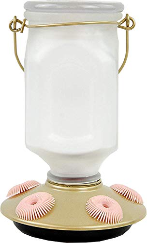 White glass and gold metal hummingbird feeder with pink perches and a wire handle showing a unique design.