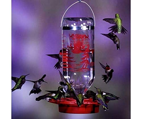 Photograph of a hummingbird feeder with multiple hummingbirds feeding a red base vibrant red design and clear glass bottle against a purple background