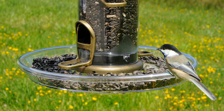 Aspects 423 Quick-Clean Bigfoot™ Round Seed Tray with bird, capturing seed waste, 12 inches diameter.