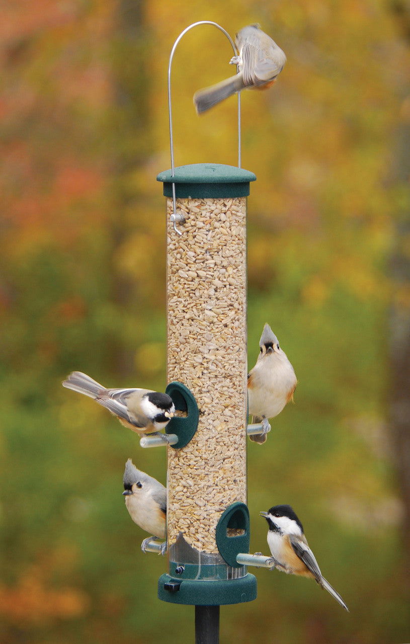 Aspects 424 Medium Spruce Quick Clean Tube Seed Feeder with birds feeding from it in a colorful outdoor setting.