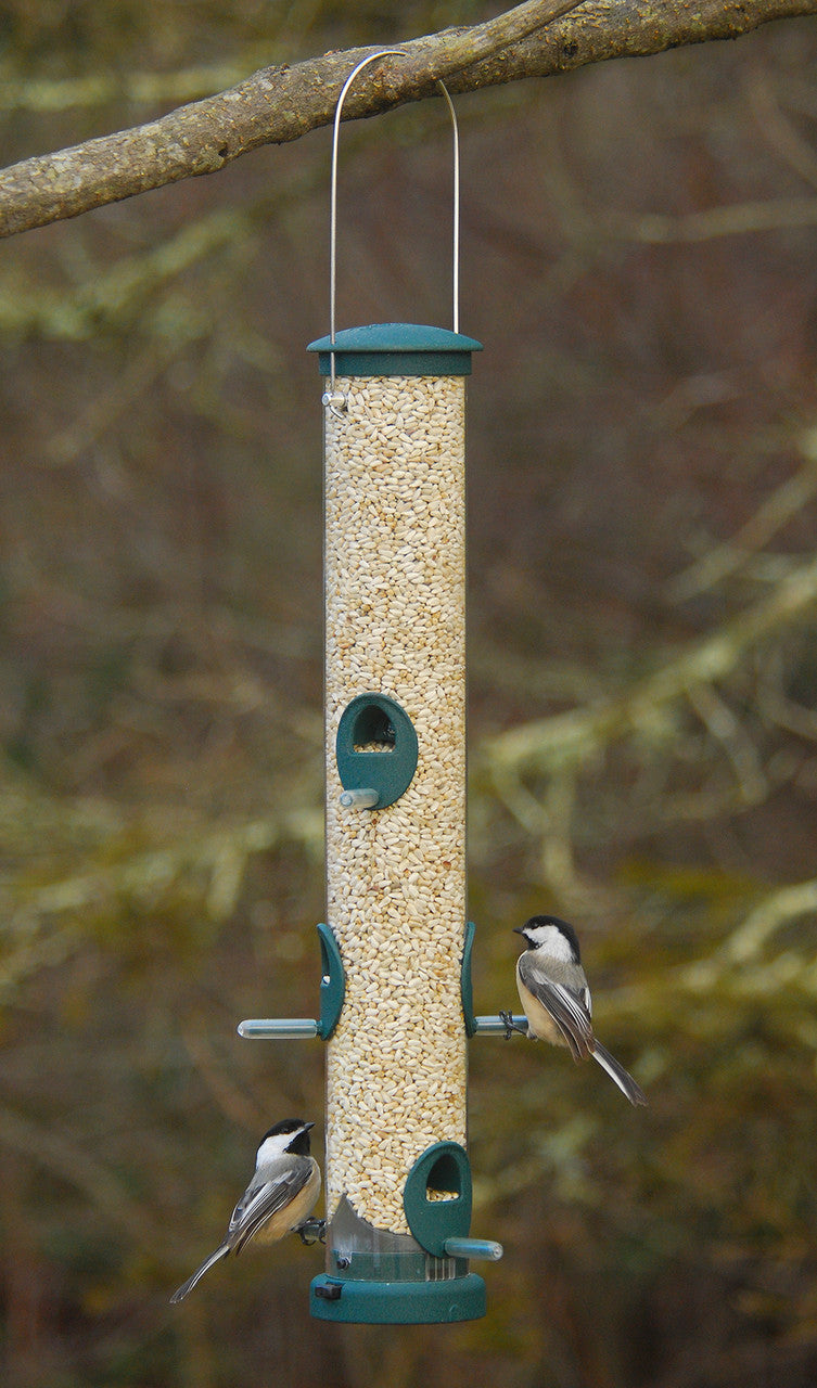 Aspects 425 Quick Clean Seed Tube Feeder, Spruce, Large with birds feeding on seed.