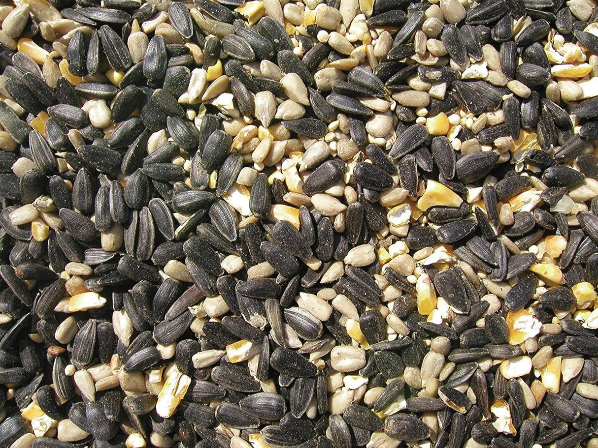 Cole's Blue Ribbon Blend Bird Seed mix featuring sunflower and millet seeds, ideal for attracting wild birds.