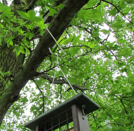 Photograph bird feeder hanging from a silver hook on a tree branch amongst vibrant green star-shaped leaves and a dark brown wooden structure with a dark green top