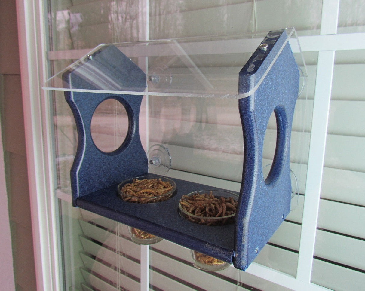 JCS Wildlife Window Mount Bluebird Mealworm Feeder