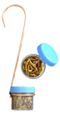 Photograph shows a clear jar with a light blue lid containing dried mealworms attached to a copper wire hanger the mealworms are light brown and tan with some darker ones visible the container is also shown separately with its lid off