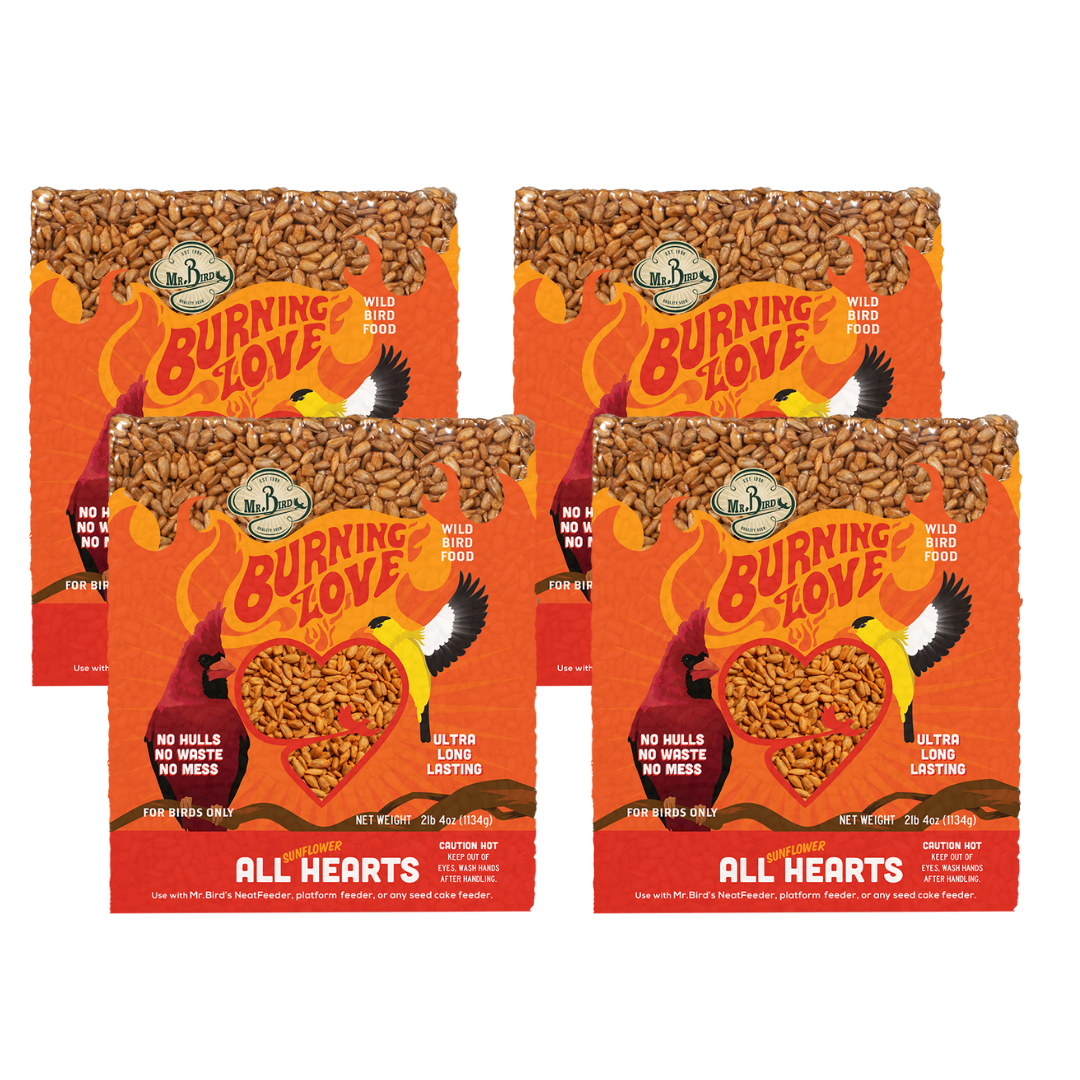 Mr. Bird Burning Love Large Cake, spicy bird food block, squirrel-free, ultra long lasting, 4-pack, vibrant packaging
