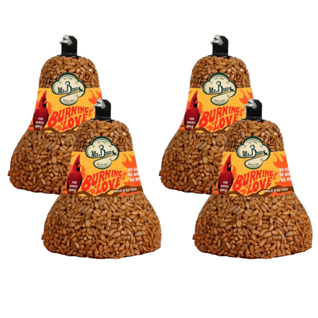 Four Mr. Bird Burning Love Seed Bells, spicy bird snacks that deter squirrels, perfect for year-round feeding.