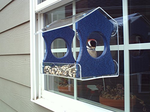 Photograph of a Downy Woodpecker at a blue and clear acrylic window bird feeder attached to a house window showing mixed birdseed and potted plants.