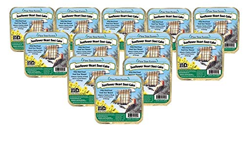 Pine Tree Farms twelve-pack of Sunflower Heart Suet Cakes showing a woodpecker and bird feeder against a snowy background with sunflowers and a blue sky