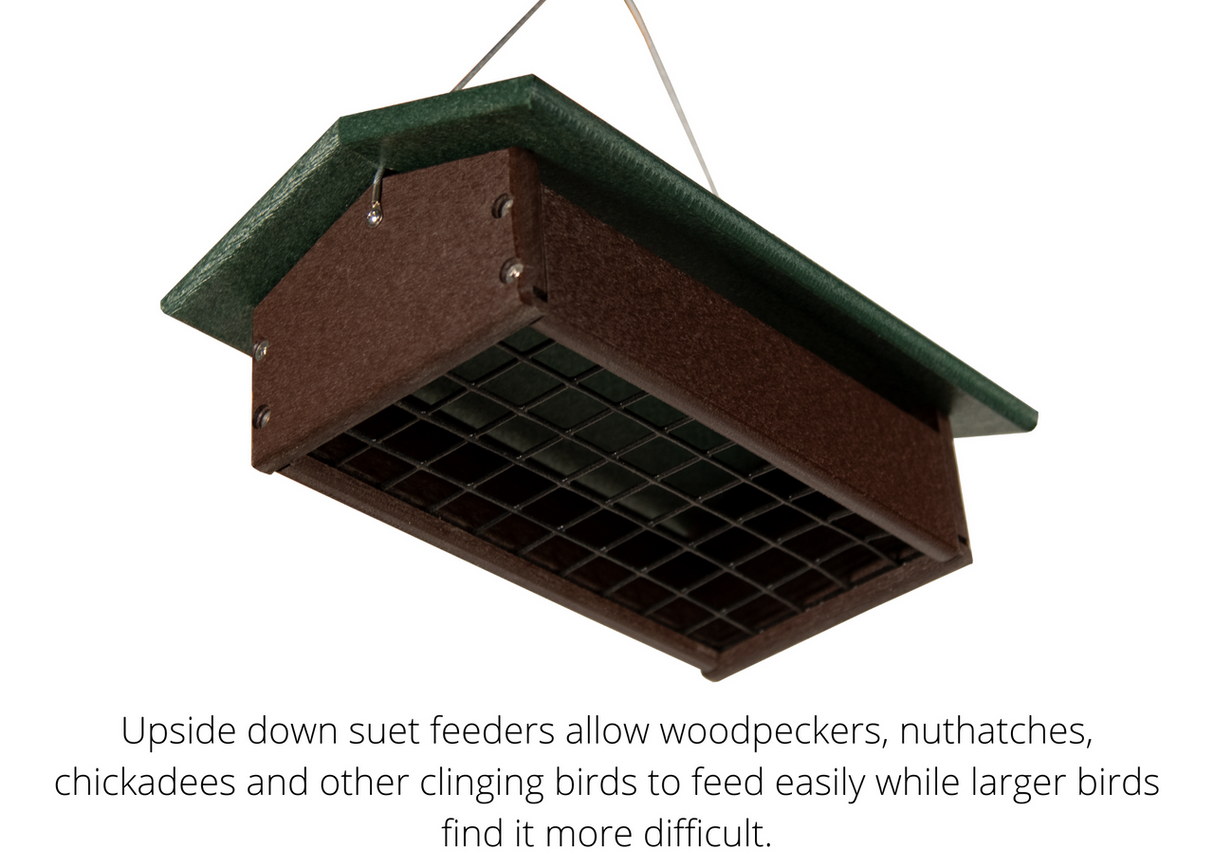 Recycled plastic bird feeder showing a dark brown body, a green roof, and a wire mesh base designed for clinging birds