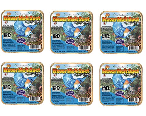 Pine Tree Farms six Never Melt Suet Insect Cakes featuring a bluebird in flight near leafy green foliage and colorful insects and berries