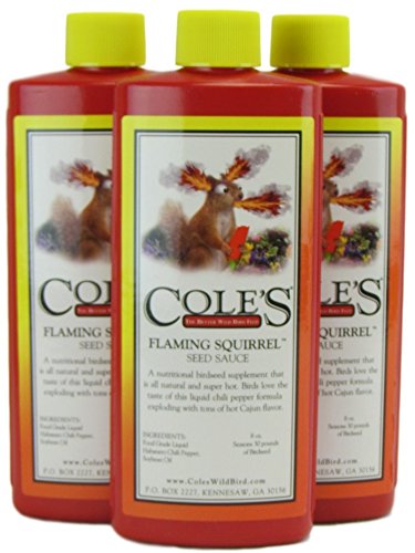 Cole's Flaming Squirrel Seed Sauce 8 oz, a spicy deterrent for squirrels, enhancing birdseed flavor and attracting birds.